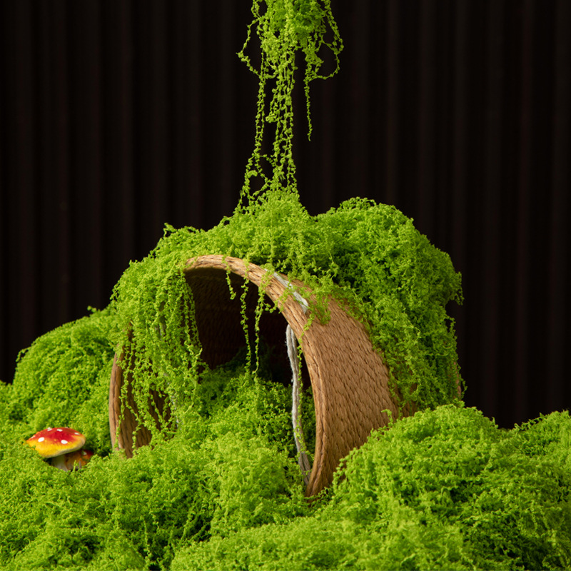 Terrarium Moss Art - 200 グラム永遠の命苔 DIY 工芸品草人工緑植物ホームルーム庭の装飾ミニ風景フェイク草盆栽