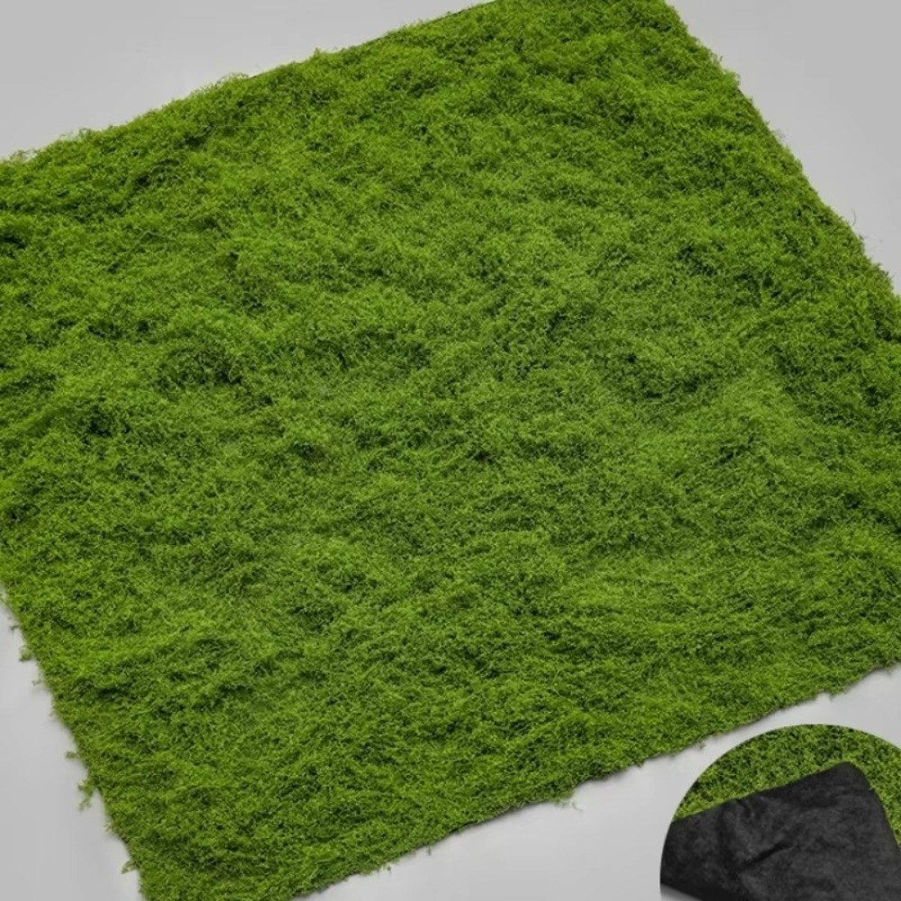 DIY人工芝ラグ 耐久性 水やり不要 フェイクモス芝生 本物 - Terrarium Moss Art のレビューと価格