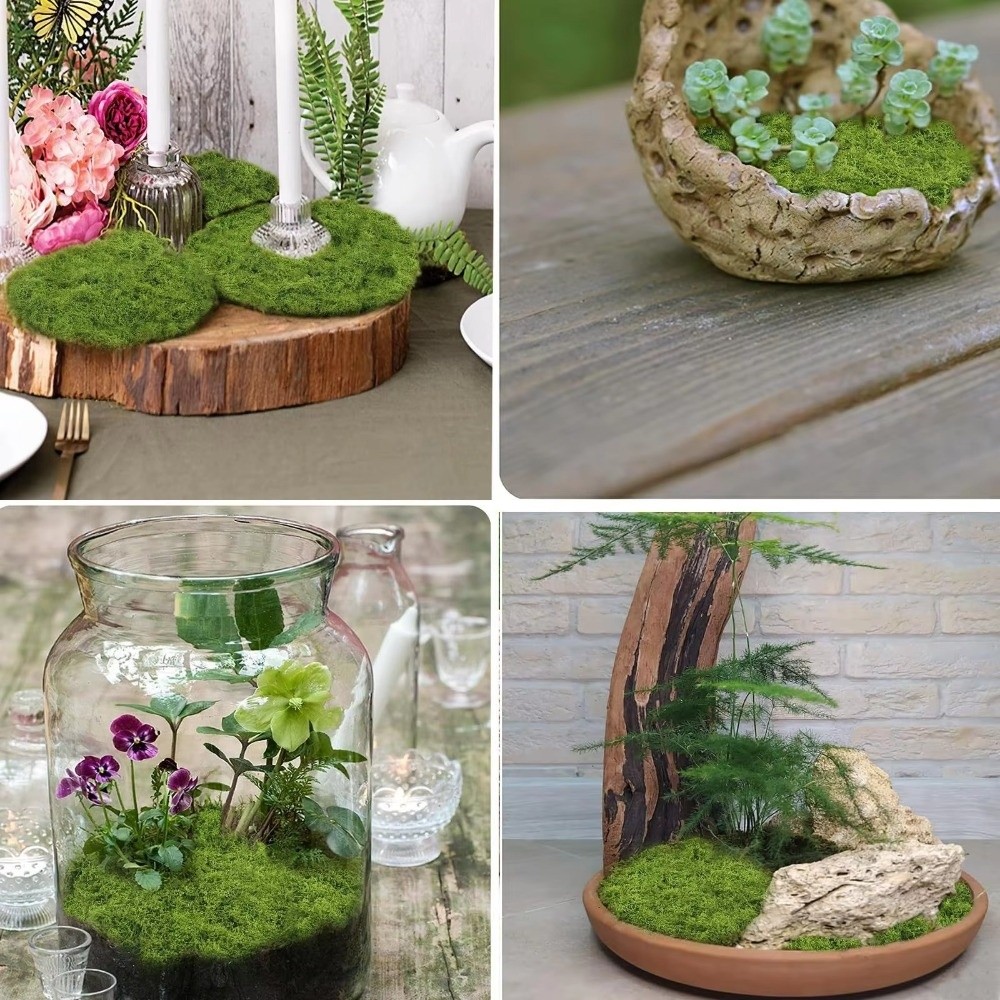 DIY人工芝ラグ 耐久性 水やり不要 フェイクモス芝生 本物 - Terrarium Moss Art のレビューと価格